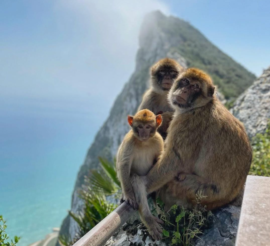 The Classic Gibraltar Tour